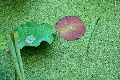《泰坦之旅2》封测即将开启！正在招募测试员